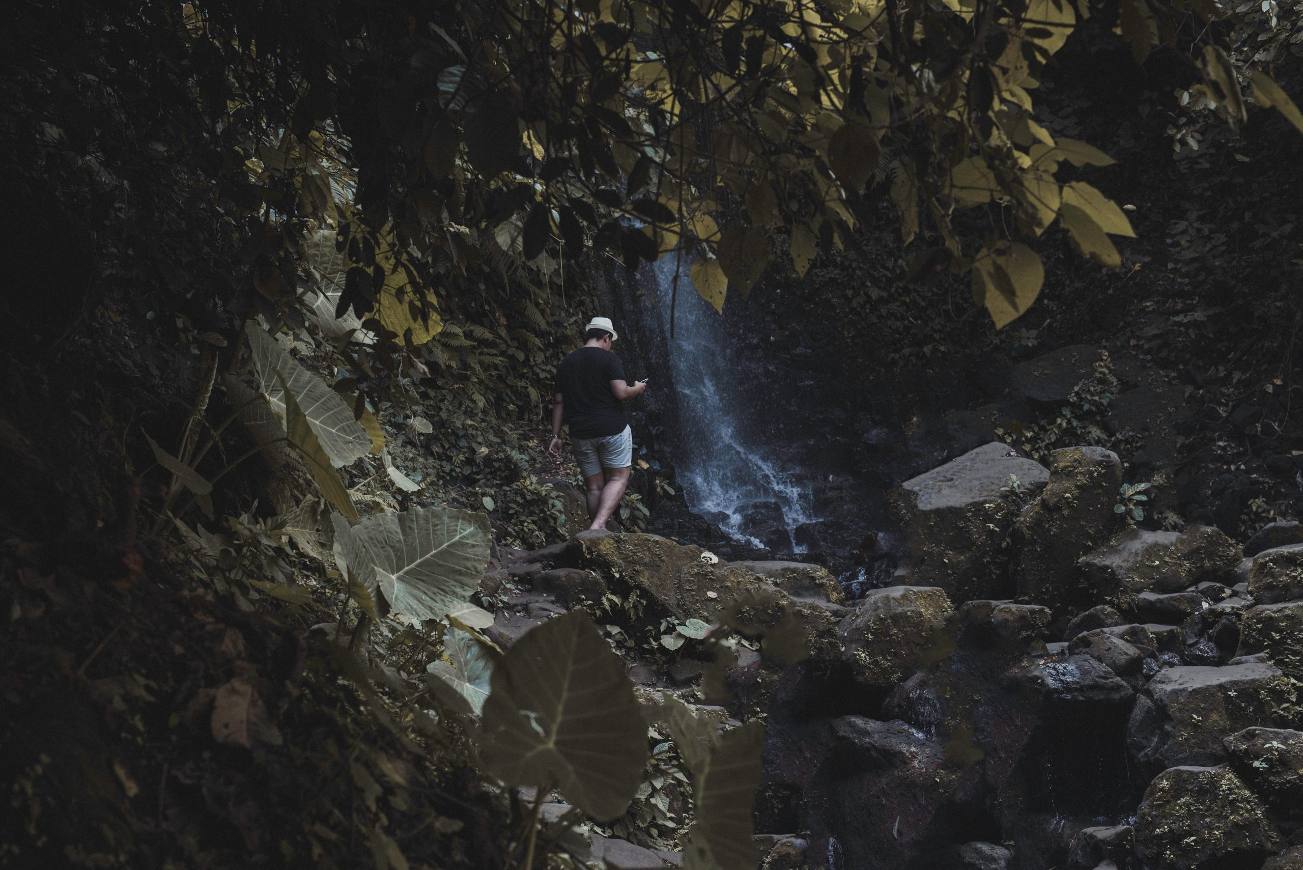 mohd-hafiz-yahya-LO6cuaPPWNM-unsplash