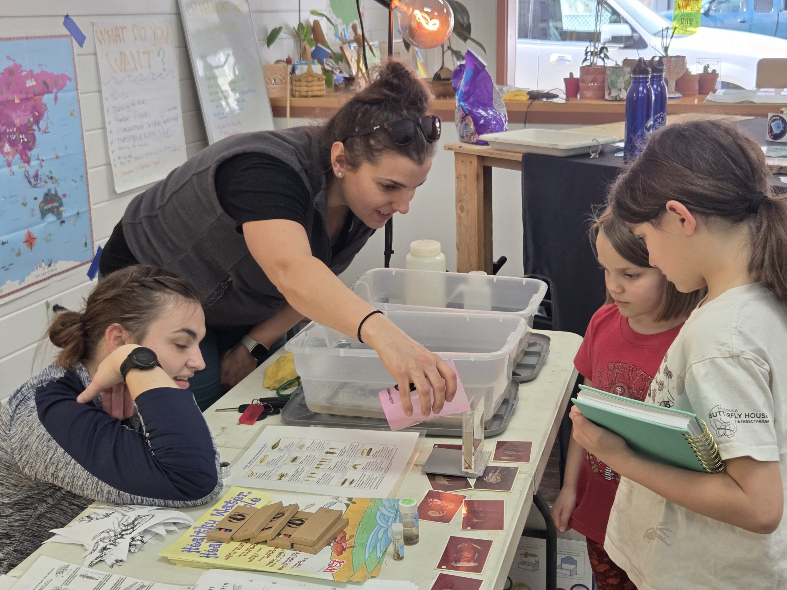 IDEQ Bug Activity 2026